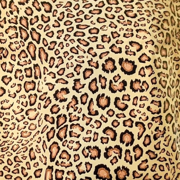 50 14X17 Poly Mailers Leopard Shipping Envelopes PRICE IS FIRM - Picture 7 of 9